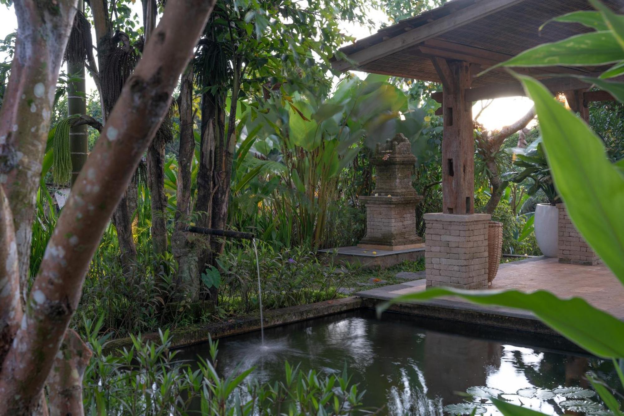 Umah Capung Sebatu Villas Tegallalang  Exterior photo
