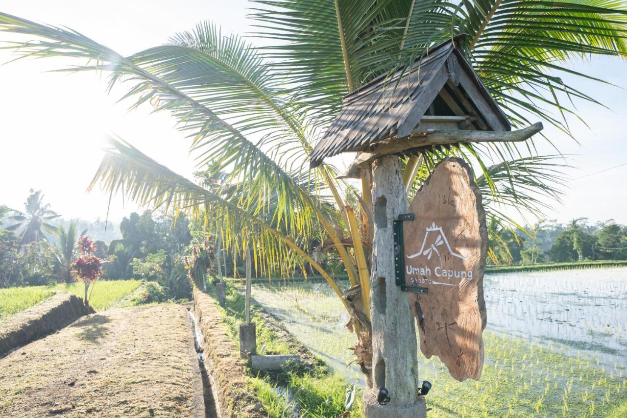 Umah Capung Sebatu Villas Tegallalang  Exterior photo